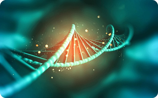 Medops Enfermedades raras 6 dna 1