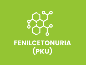 fenice.png
