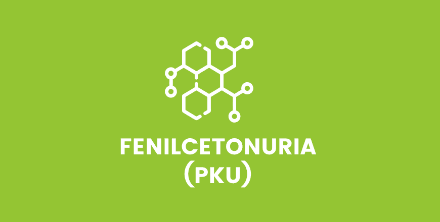 fenice.png